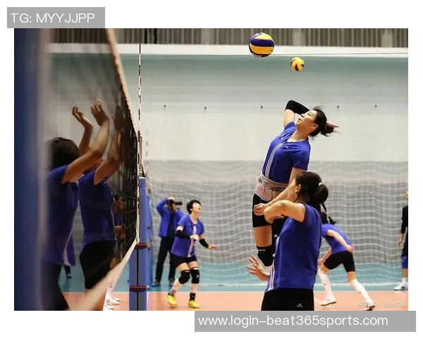 从零基础到高手排球比赛全方位实战技巧与经验分享